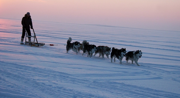 Путешествие на Северный полюс на упряжке